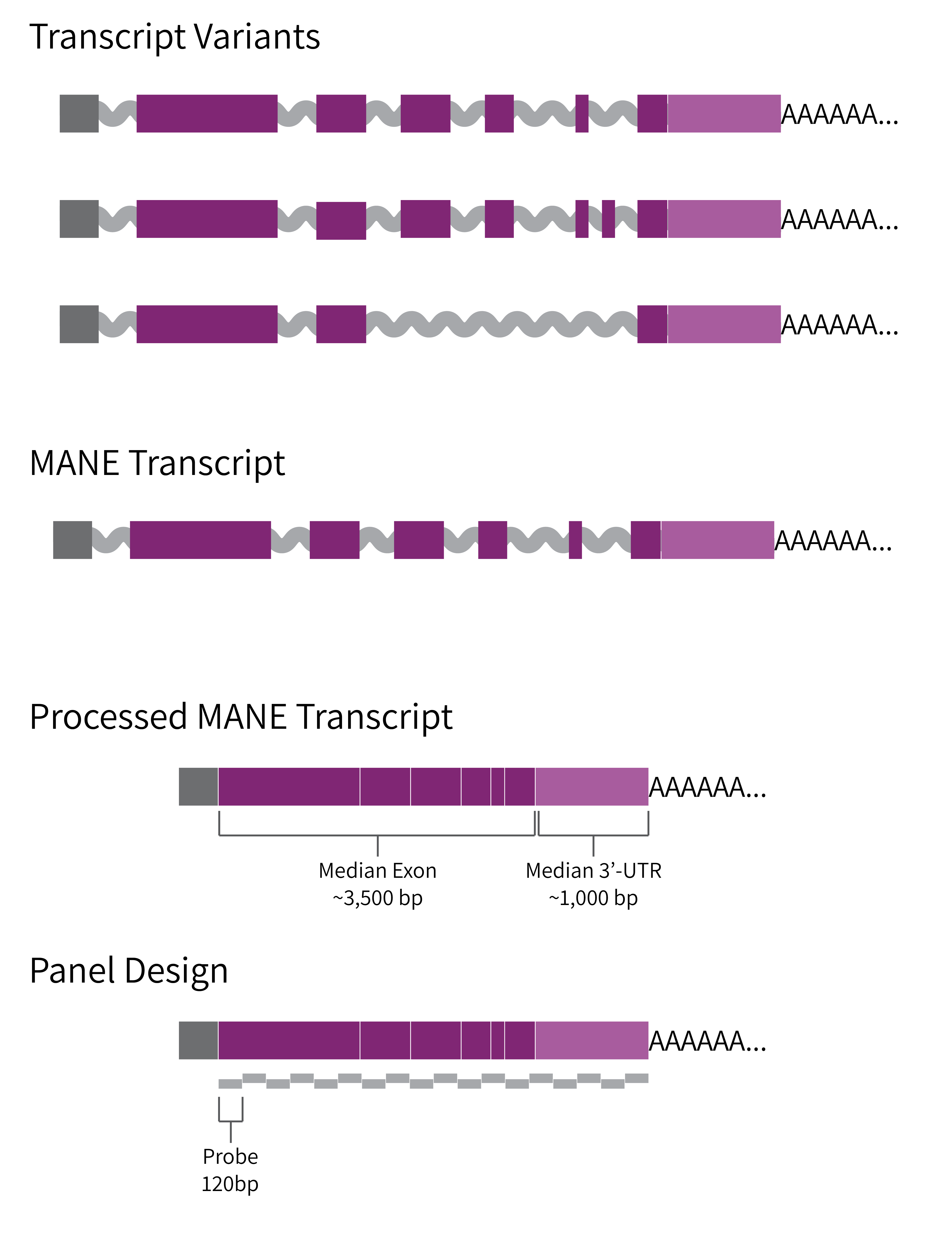 custom_panel_design_flow.png