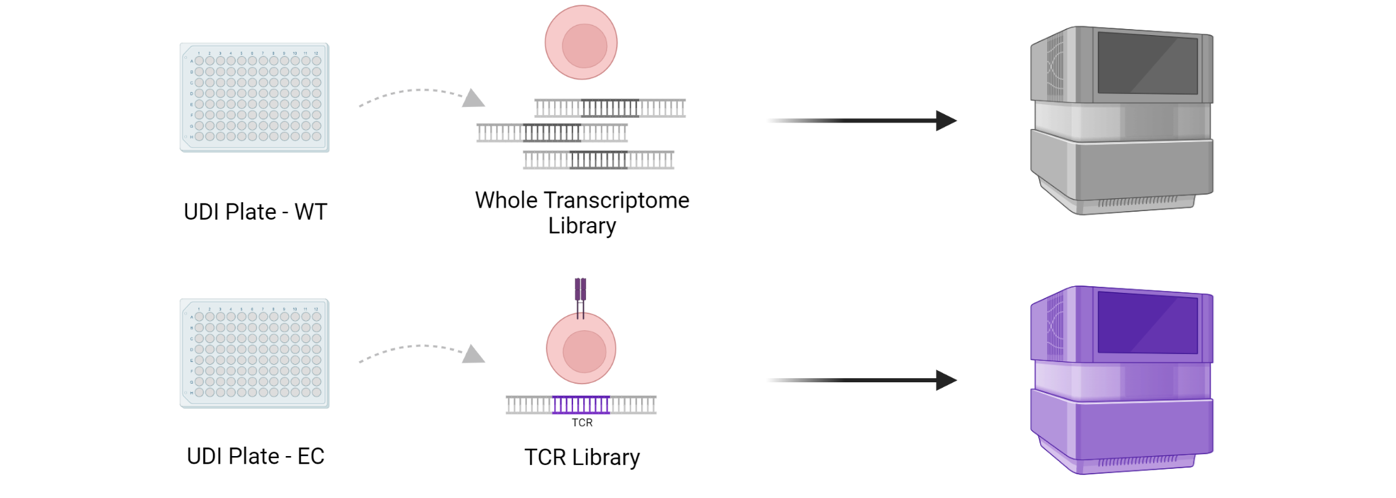 UDI_TCR_image.png
