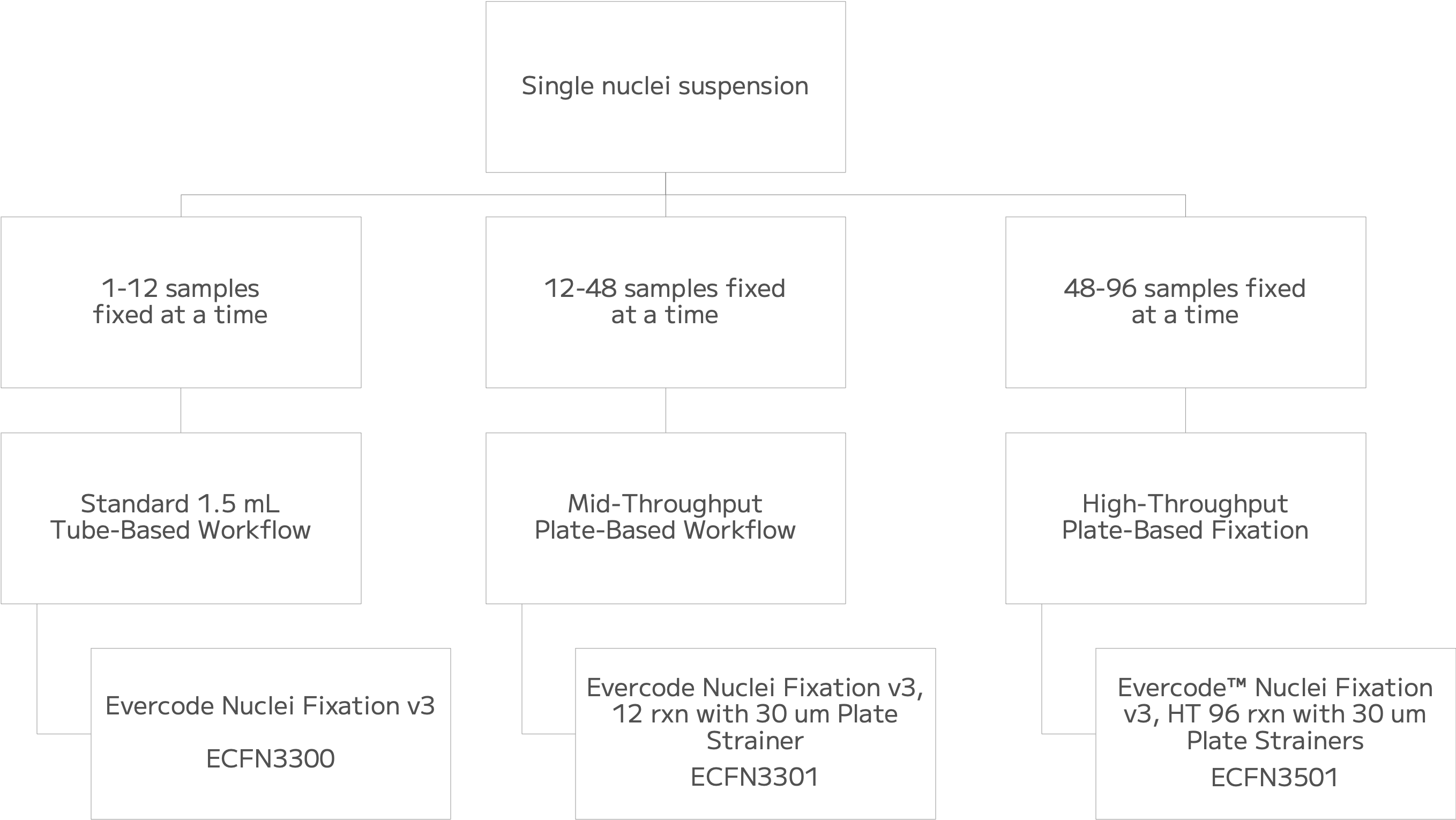 nuclei fixation decision tree.png