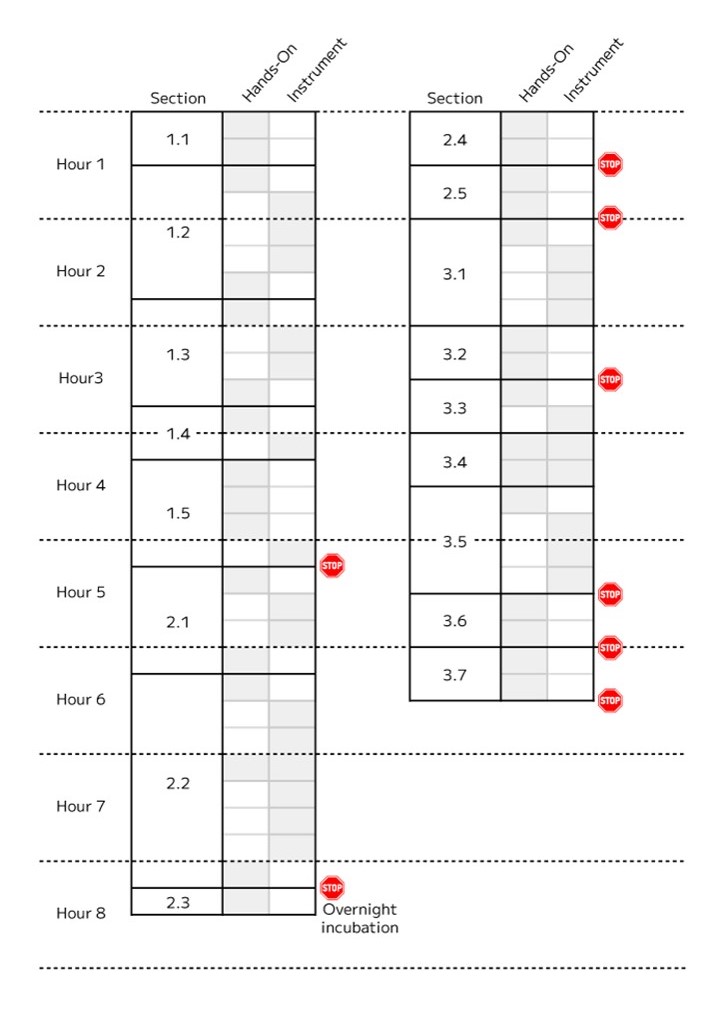 WT v3 workflow timing.jpg