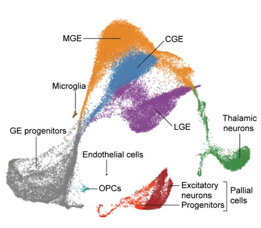 Figure 1B.png