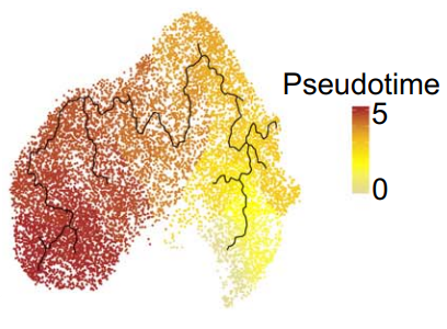 Figure 2A-3.png