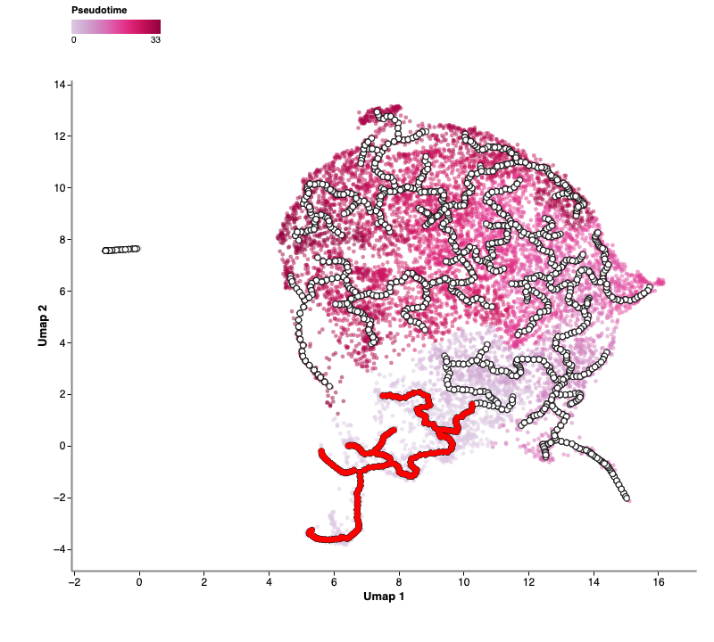 Trajectory plot.png